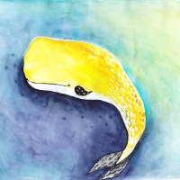 Wal von Franziska Staerkle